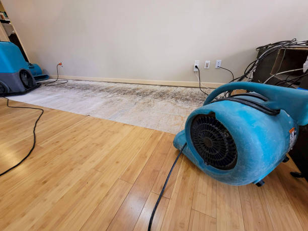 Professional Flood Damage Cleanup technician working in Loyal, WI